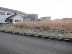 分譲地全体（造成中）