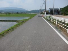 西側道路