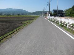 西側道路