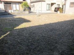 現地写真