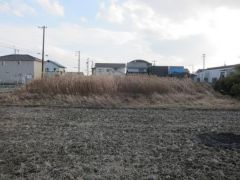 分譲地全体（造成中）